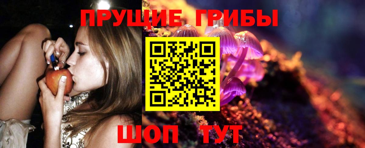 Старая Купавна  Галлюциногенные грибы Magic Shrooms  Вход с VPN 